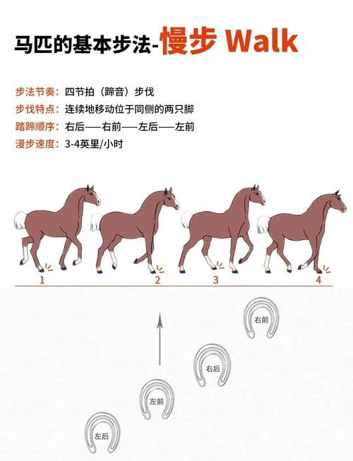 种马V0.11新手攻略，5分钟教你快速入门技巧