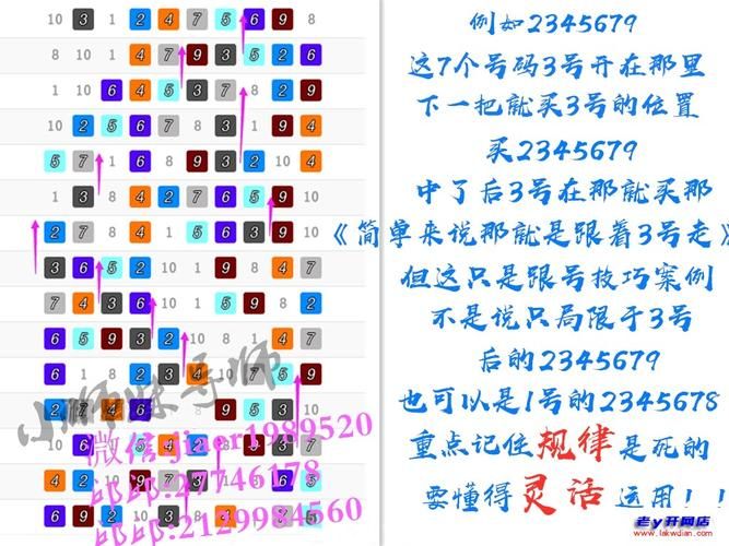 种马V0.11版本大全如何使用？高手分享实用技巧