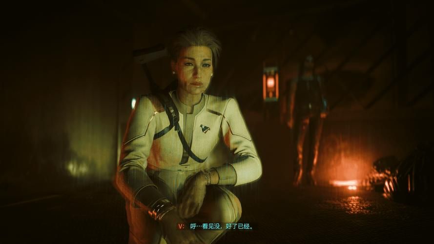 秘密派V1.6.2.322+全DLC版本内容大全解析？看这里所有特性详解！