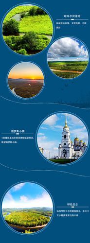 童话官网功能亮点大揭秘？不可错过特色介绍