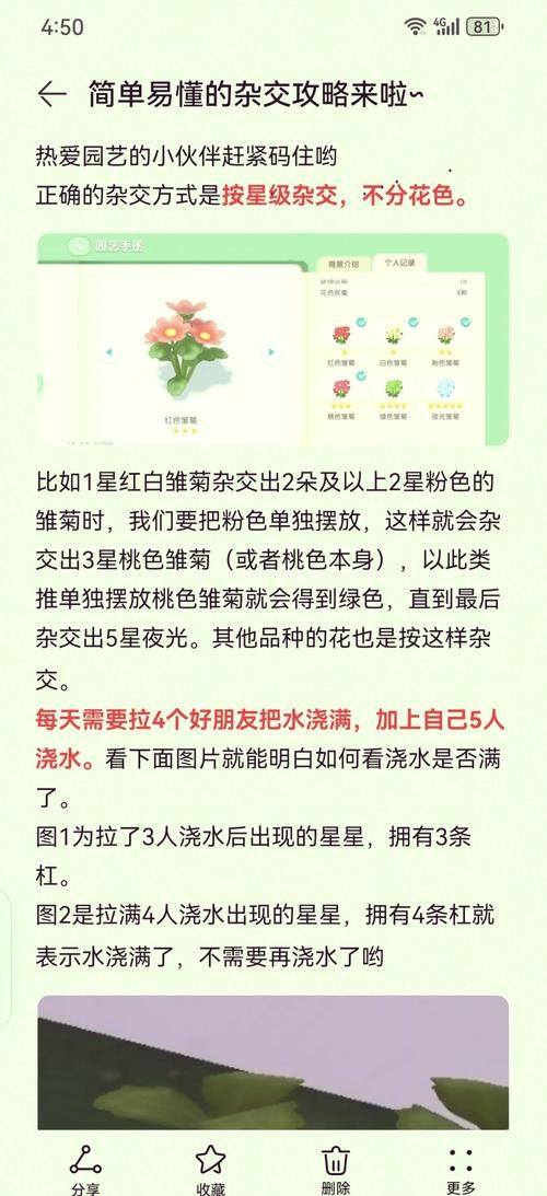 类似夏色四叶草绅士游戏有哪些？绅士向精品推荐列表
