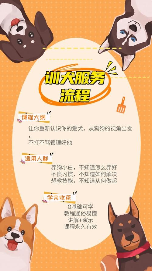 精灵女上司的训狗术下载地址安全吗？防风险技巧立即掌握！