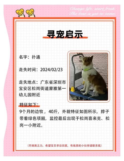 精灵女上司的训狗术最新版本攻略大全(速升技巧必看)