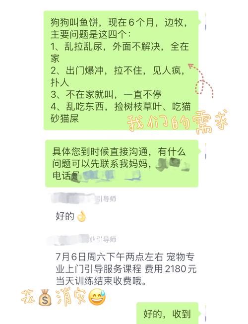 精灵女上司的训狗术最新版本是多少？版本对比实用技巧！