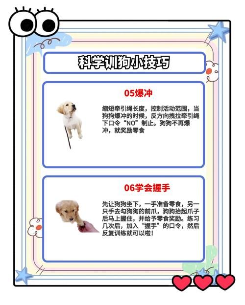 精灵女上司的训狗术游戏介绍新手教程？保姆指南一步到位！