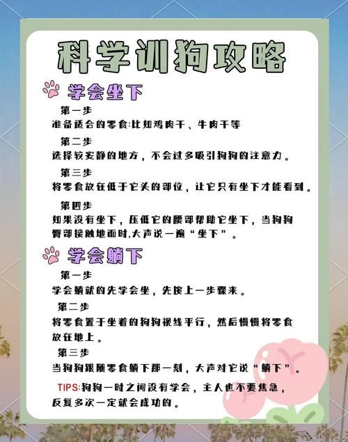 精灵女上司的训狗术版本大全内容揭秘？详细解析所有版本