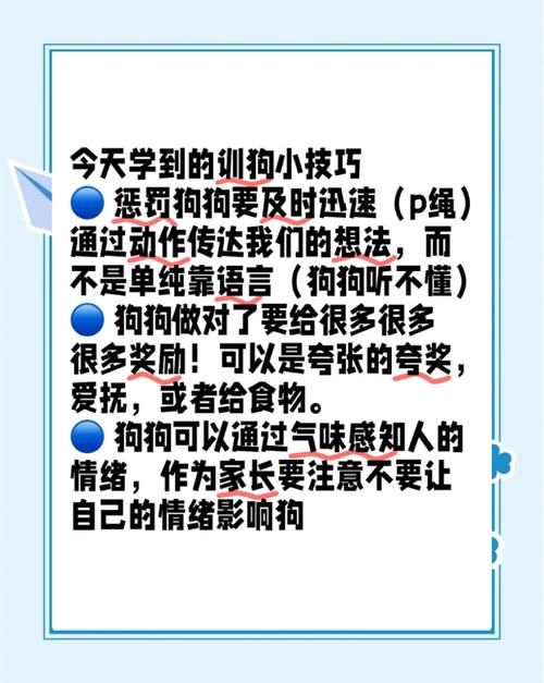 精灵女上司训狗术更新地址怎么操作？新手指南轻松上手看这里！