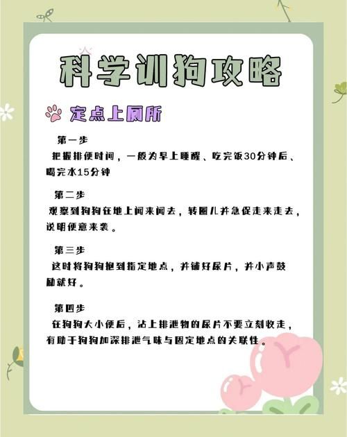 精灵女上司训狗术更新地址怎么操作？新手指南轻松上手看这里！
