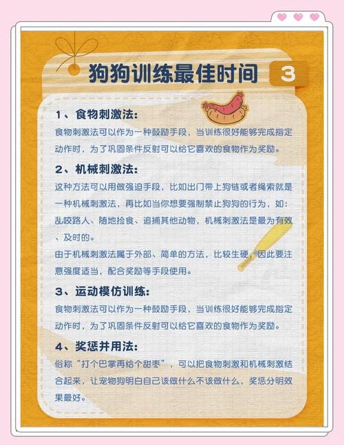 精灵女上司训狗术更新地址怎么操作？新手指南轻松上手看这里！
