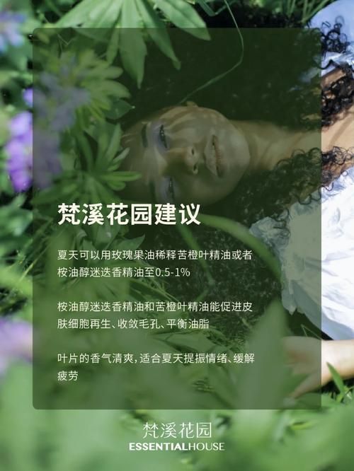 精英花园官方正式版下载最新版怎么操作？(三步快速安装教程)