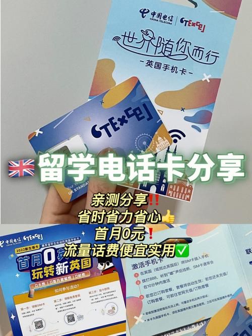 索尔路易丝在哪下载靠谱？亲测有效步骤分享