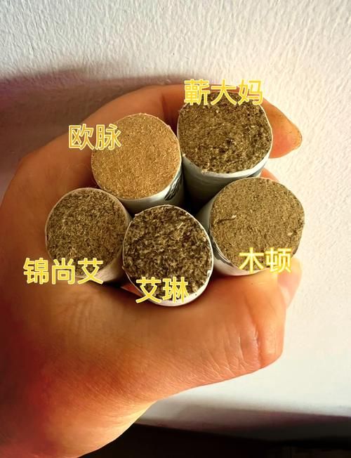 索尔路易丝官网购物指南？新手必备操作全攻略！