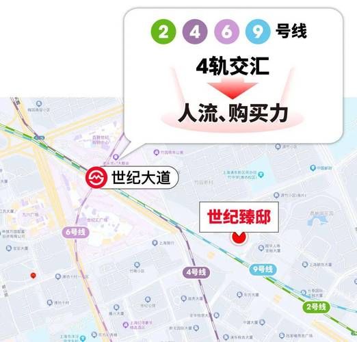 索尔路易丝更新地址有何变化最新动态全攻略