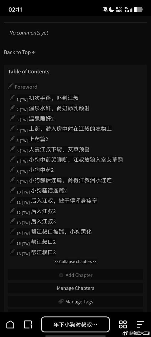 索尼娅的乡村生活安卓汉化常见问题(解决3大疑问快速启动指南)