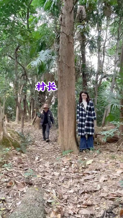索尼娅的乡村生活更新地址变了怎么办？(新策略确保不错过)