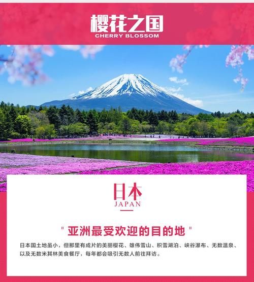 红樱花馆在哪下载疑问？常见问题解答全攻略！