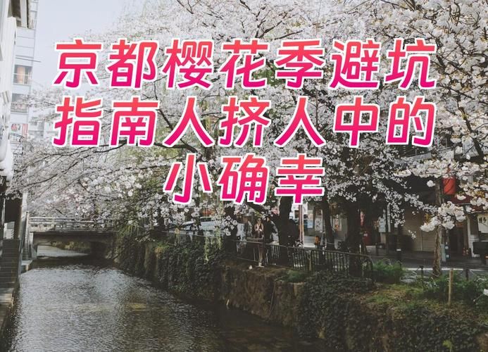 红樱花馆官方网站常见问题？解答大全帮你轻松避坑！
