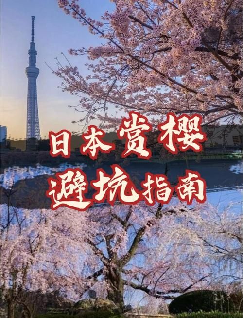 红樱花馆官方网站常见问题？解答大全帮你轻松避坑！