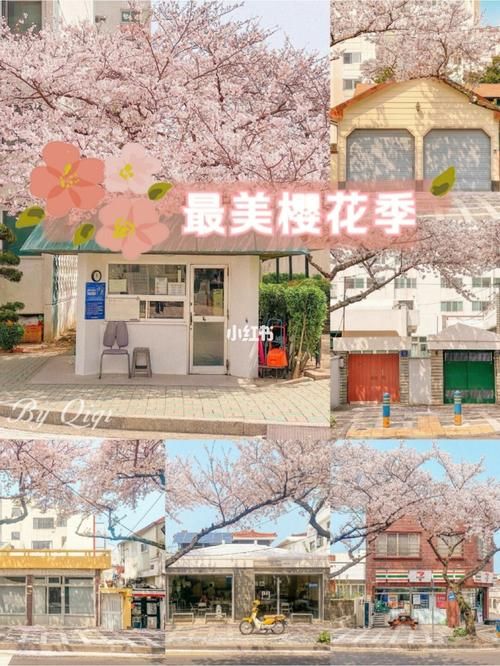 红樱花馆官网效果如何？真实体验分享提升体验！