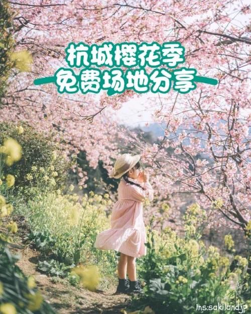 红樱花馆官网效果如何？真实体验分享提升体验！