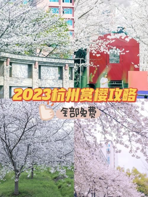 红樱花馆更新地址入口在哪？收藏这份最新访问指南！