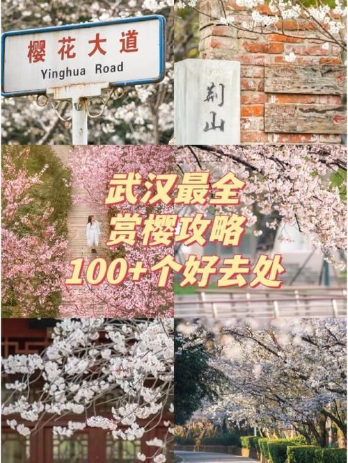 红樱花馆更新地址入口在哪？收藏这份最新访问指南！