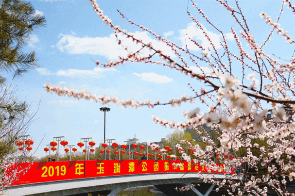 红樱花馆最新发布哪个好？(对比亮点帮你做决定)