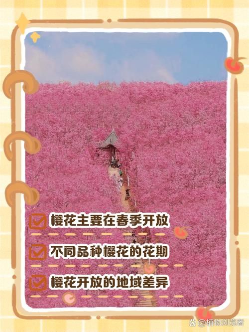 红樱花馆最新版本好玩吗？揭秘用户实测优缺点！