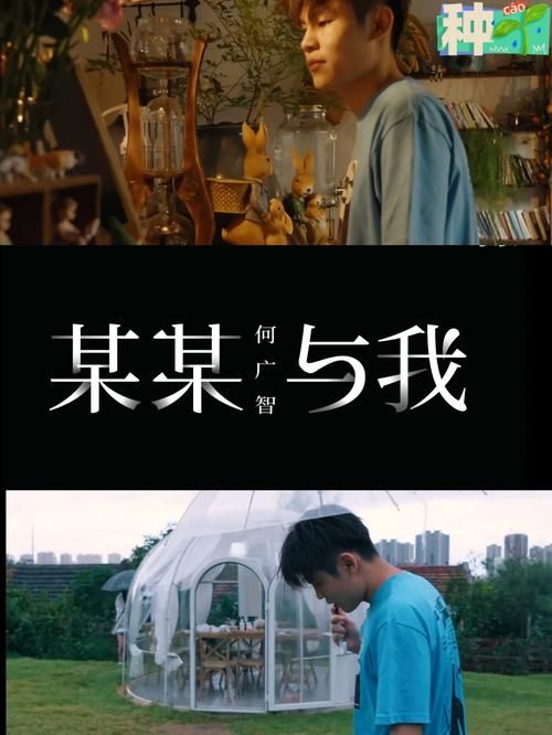 纯爱战士下载地址哪家好？这5个官方渠道推荐一试！