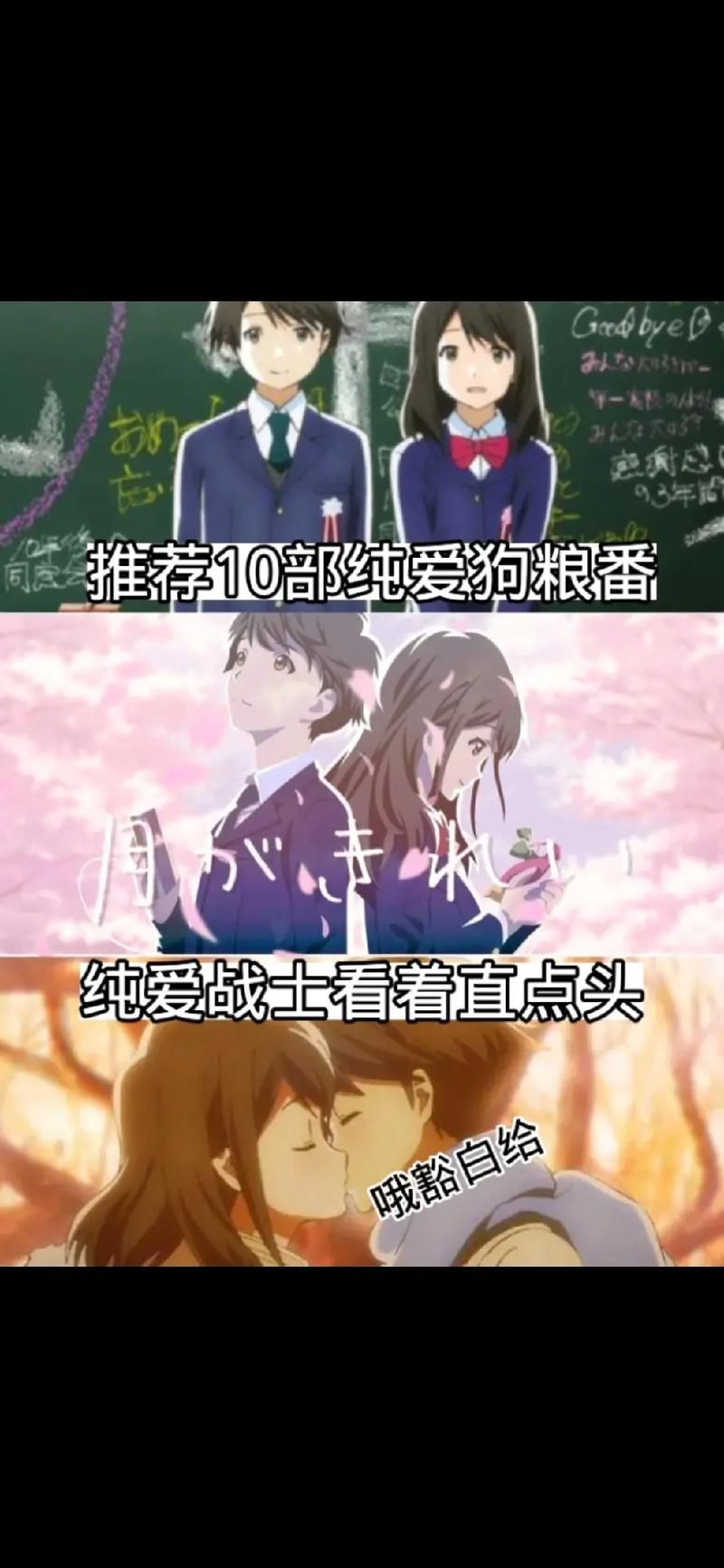 纯爱战士最新几时更新？周更时间表请提前收藏好