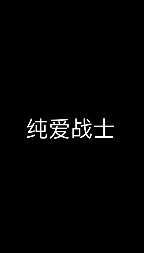 纯爱战士游戏介绍综合评测？玩家体验真实揭秘！
