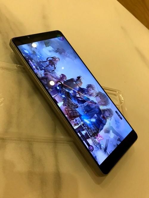 绝对疯狂V0.63安卓手机能玩吗(配置要求实测老旧机也流畅)