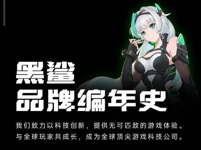 编年史NTR完结版游戏介绍是什么？完整内容详细揭秘！