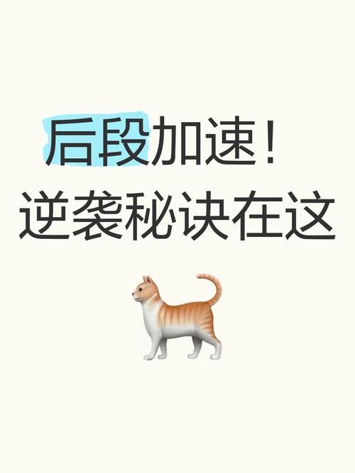 美味的诅咒怎么下载更快？提速秘诀大分享！
