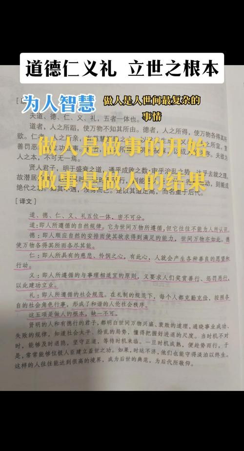 美德在哪下载官方版在哪？免费正版链接入口方法