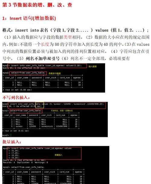 职场幻想V1.2.4游戏攻略全解析？从入门到精通步骤详解！