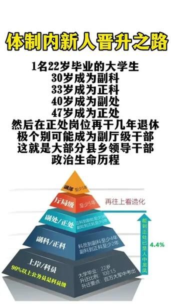 职场高升安卓汉化入门教程？新手必看步骤详解！