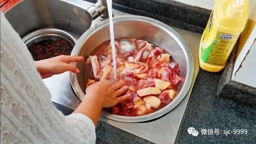 肉烂在锅里最新汉化版在哪下？实测资源推荐来了