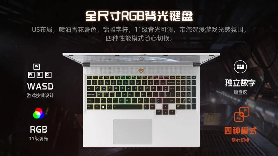 胁迫COERCION绅士游戏平台对比？哪家版本好用推荐