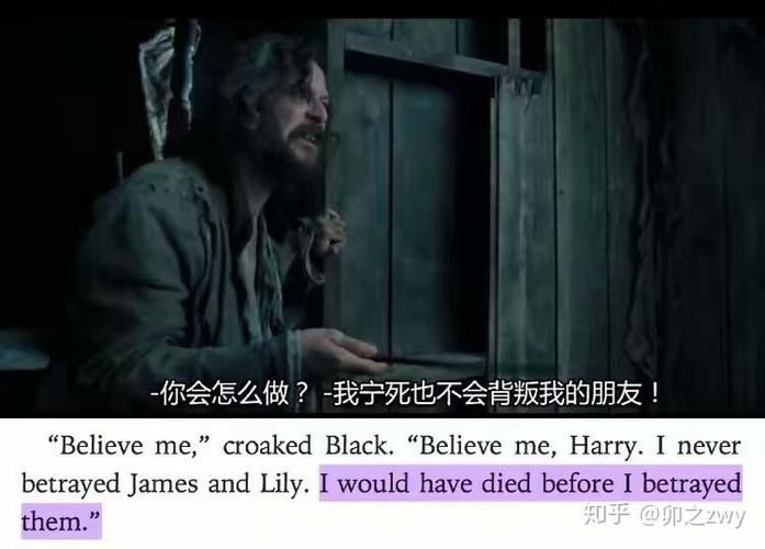 背叛Betrayed官方网站配置要求？(兼容多种设备轻松畅玩)
