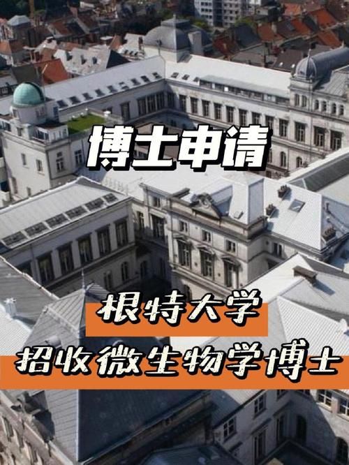 花都修仙汉化版最新更新内容问题？解决常见4个疑问速通！