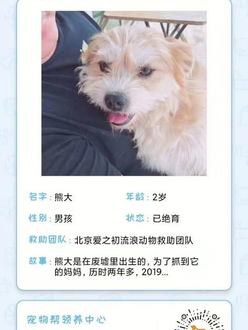 苦主救助中心4最新官方消息通知？最新动态和活动预告！