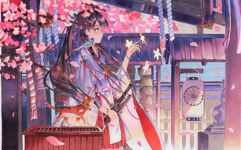 菊玩少女最新版本有哪些内容？全面亮点功能详细介绍！
