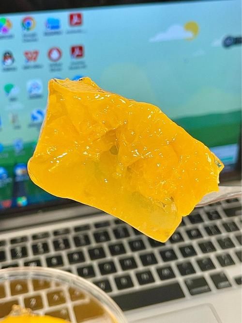 萨沙的启蒙官网怎么使用？3步操作新手快速上手教学