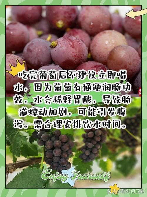 葡萄成熟时如何安全下载？避开病毒这样做就行！