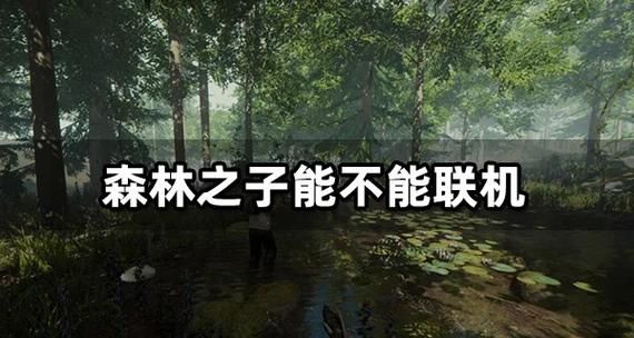 葡萄成熟时安卓能联机吗？多人模式攻略分享！