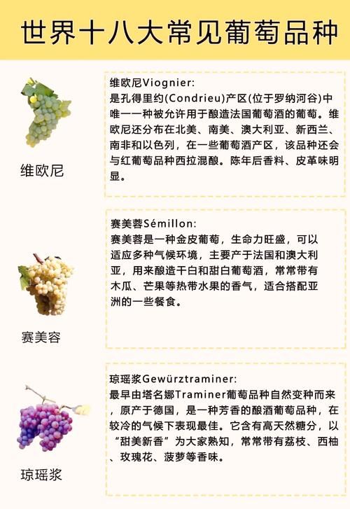 葡萄成熟时官方网站更新啥？一手新内容全掌握实用贴！