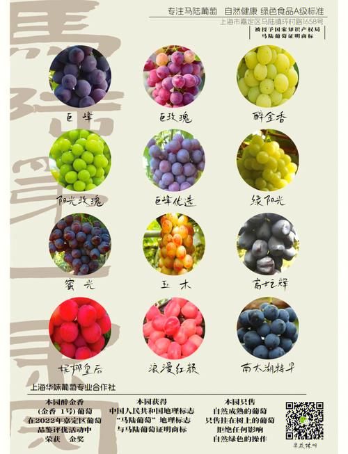 葡萄成熟时更新地址怎么操作？快速搞定步骤分享！