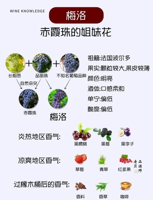 葡萄成熟时最新版本怎么玩？新手入门指南超实用！