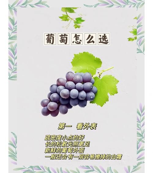 葡萄成熟时汉化版最新更新内容安装教程？（简单步骤轻松搞定）